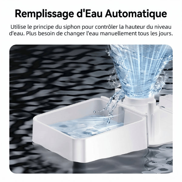 Distributeurs nourriture pour chats avec fontaine eau gravitaire autonome remplissage automatique