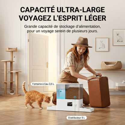 Distributeurs nourriture pour chats grande autonomie idéale voyages et absences