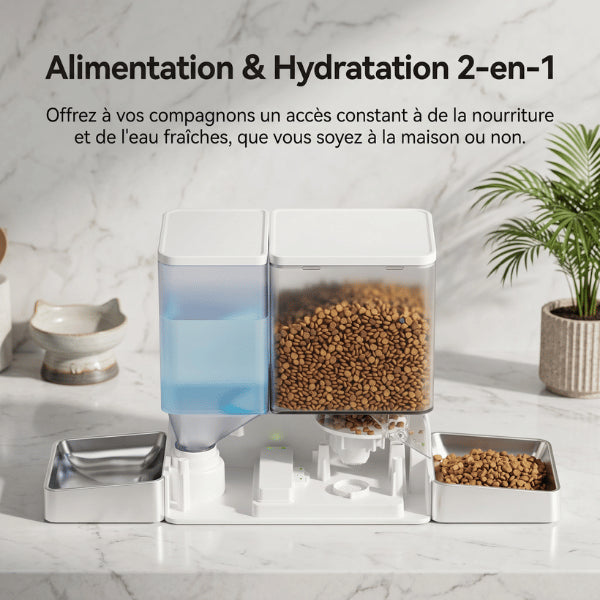 Distributeurs nourriture pour chats assurant alimentation et hydratation quotidiennes optimales