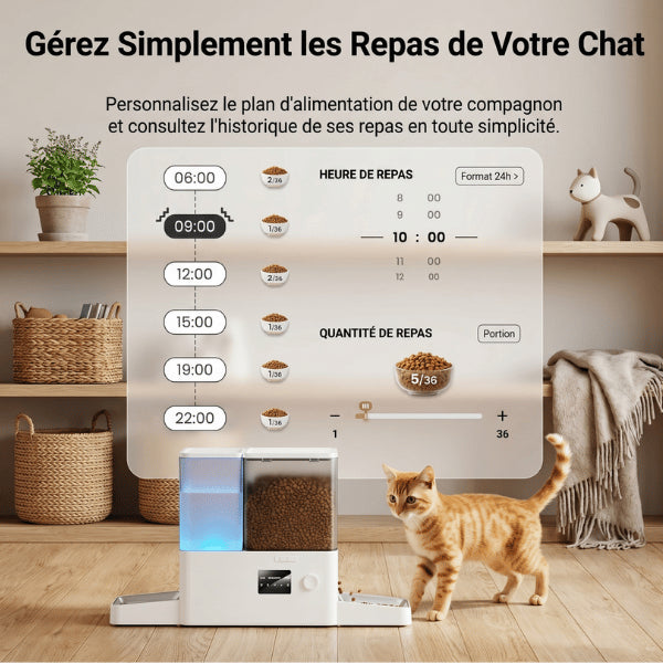 Distributeurs nourriture pour chats avec gestion précise des repas quotidiens