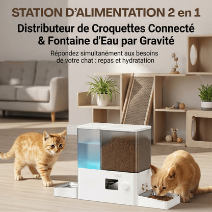 Distributeurs nourriture pour chats combinant eau fraîche et croquettes automatiques