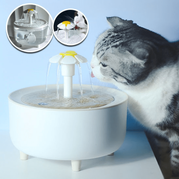 Félin gris tigré qui boit à la fontaine à eau pour chat blanche CatDrinker™