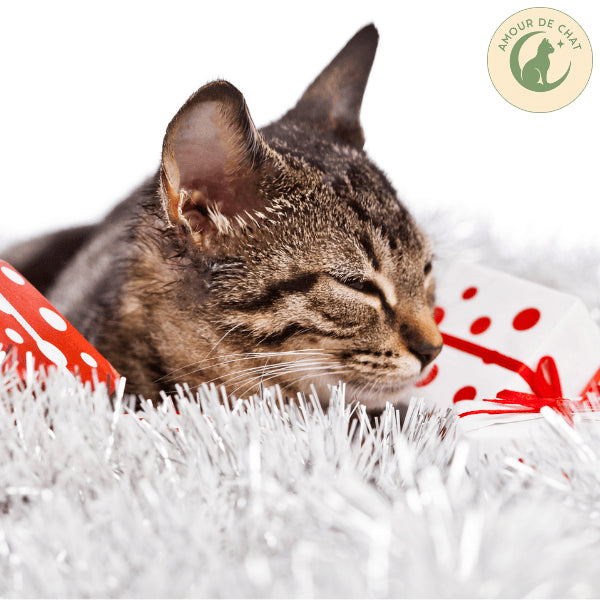 Félin tigré content qui dort apaisé avec cadeau chat Amour de Chat plaisir bonheur