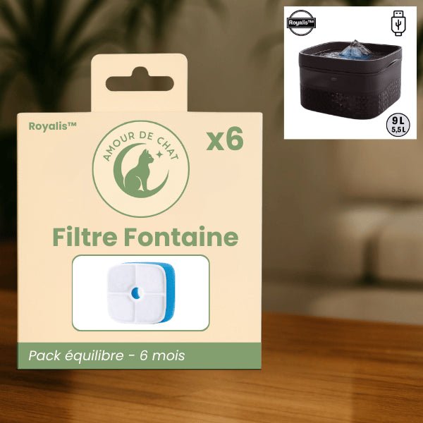 Filtre distributeur eau chat longue durée meilleure hydratation pack pour distributeur Royalis™