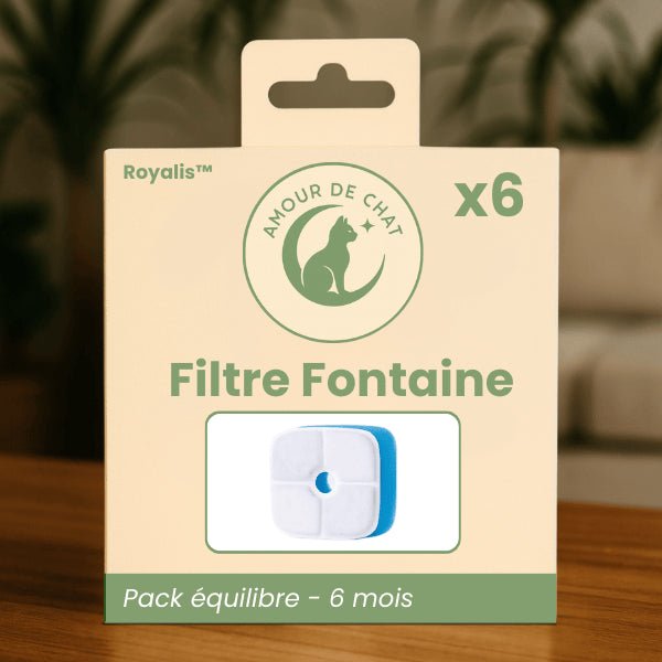 Filtre distributeur eau chat pack équilibre longue durée par 6 pour distributeur Royalis™