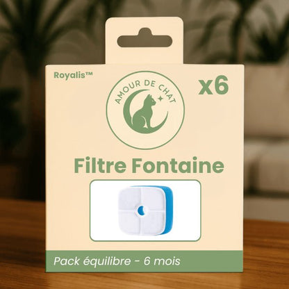 Filtre distributeur eau chat pack équilibre longue durée par 6 pour distributeur Royalis™