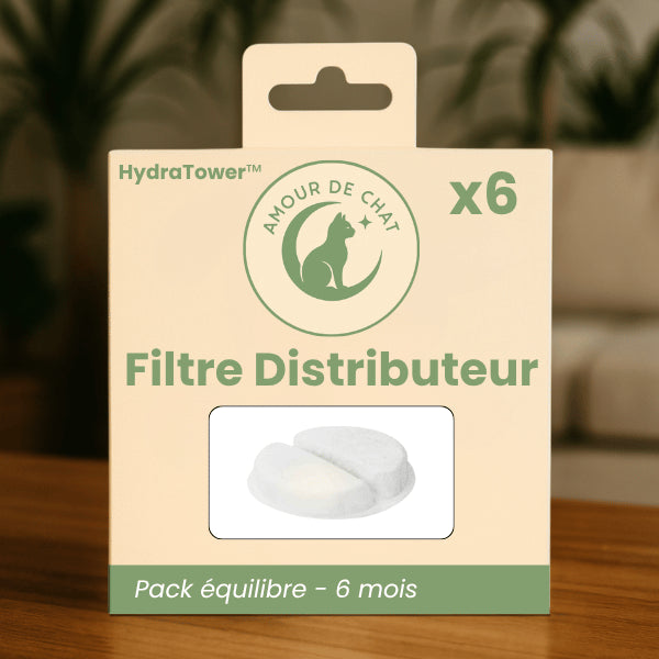 Filtre distributeur eau chat recharge six unités pour eau saine