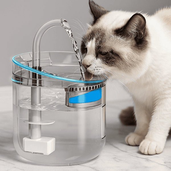 Filtre distributeur eau pour chat à robinet meilleure hydratation eau cristalline distributeur Crystalis™