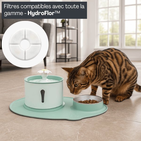 Filtre fontaine à eau chat compatible toute la gamme fontaine automatique premium Hydroflor™