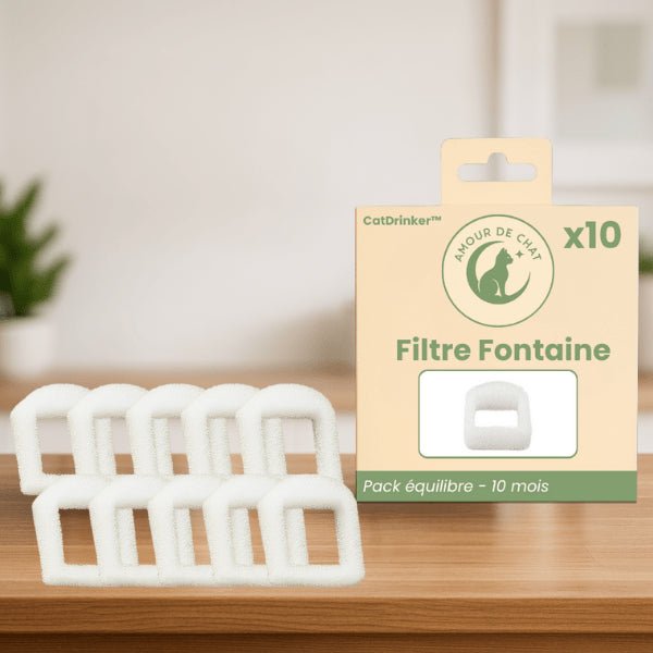 Filtre fontaine a eau chat par 10 pour 10 mois pack équilibre fontaine CatDrinker™