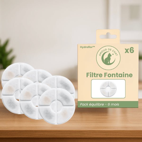 Filtre fontaine à eau chat pour 6 mois pack équilibre par 6 fontaine Hydroflor™