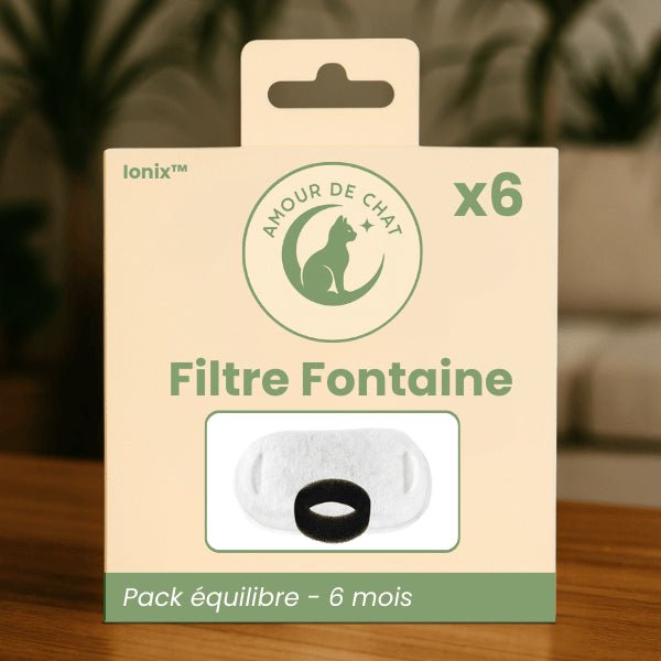 Filtre fontaine chat double 6 mois pack équilibre par 6 haute performance fontaine inox Ionix™