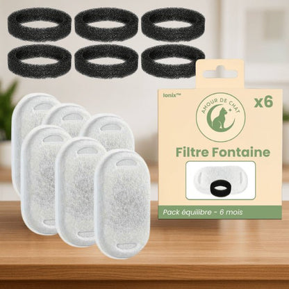 Filtre fontaine chat double pompe pack équilibre 6 mois par 6 pour fontaine inox Ionix™