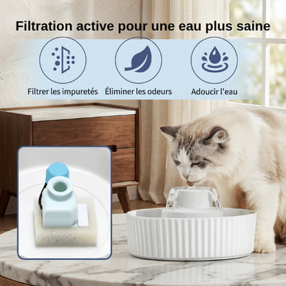 Filtre fontaine chat améliorant goût de l’eau et santé urinaire