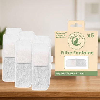 Filtre fontaine chat longue durée pour 6 mois pack équilibre par 6 pour 3 fontaines