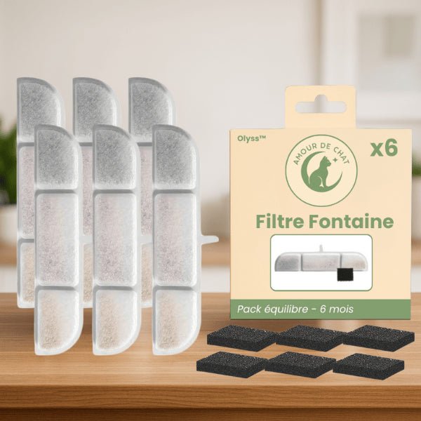 Filtre fontaine eau chats présenté durée 6 mois pack équilibre par 6 et filtre pompe fontaine Olyss™