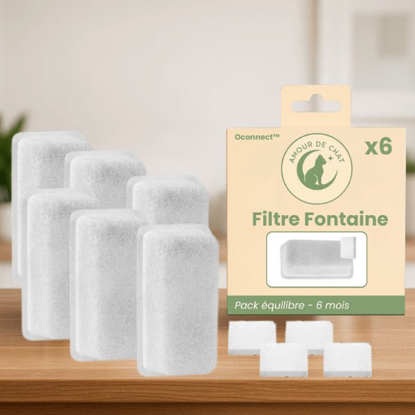 Filtre fontaine pour chat durée 6 mois par 6 pack présenté pour fontaine inox Oconnect™