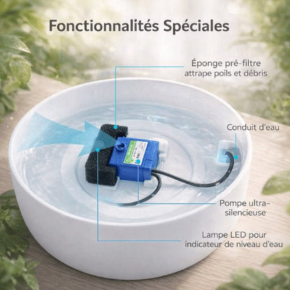 Fonctionnement du filtre pour pompe fontaine à eau chat avec préfiltration des poils et impuretés