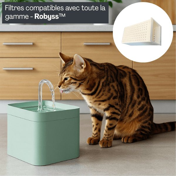 Filtre pour fontaine a eau chat hydratation optimale eau saine pour fontaine robinet Robyss™