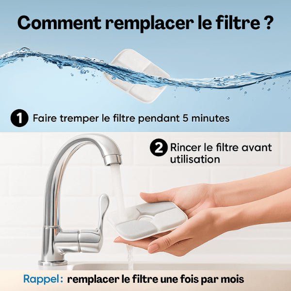 Fontaine a chat filtrée avec remplacement filtre simple comment le remplacer Royalis™