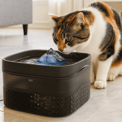 Fontaine a chat très grande capacité 9 L design noir silencieuse félin boit dans Royalis™