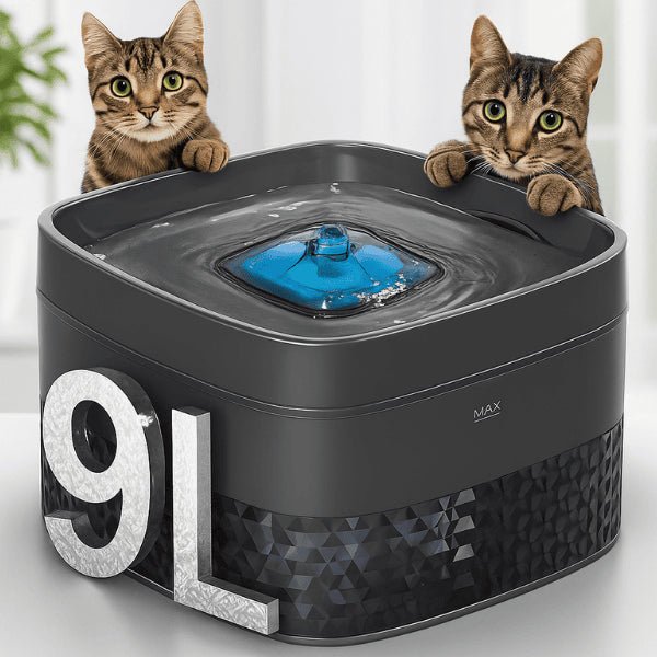 Fontaine a chat XL très grande capacité 9 L pour plusieurs chats chien design noir Royalis™