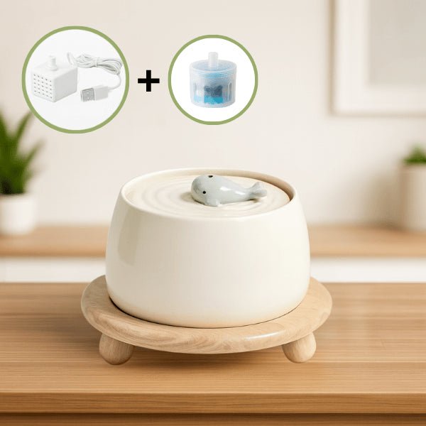 Fontaine à eau chat céramique blanc crème support bois naturel seul filtre pompe USB NaturaFresh™