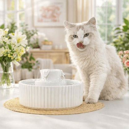 Chat buvant eau fraîche dans une fontaine à eau chat en céramique blanche à cascade centrale - Organic™