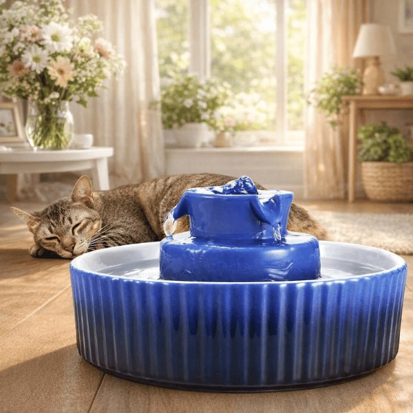 Fontaine à eau céramique bleue silencieuse avec chat détendu - Organic™