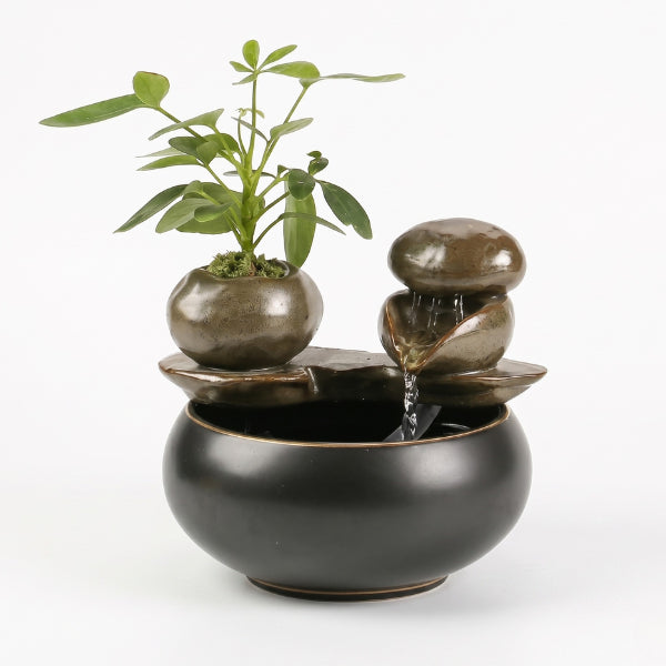 Fontaine à eau chat céramique design naturelle élégant hydratation apaisante et fraîche
