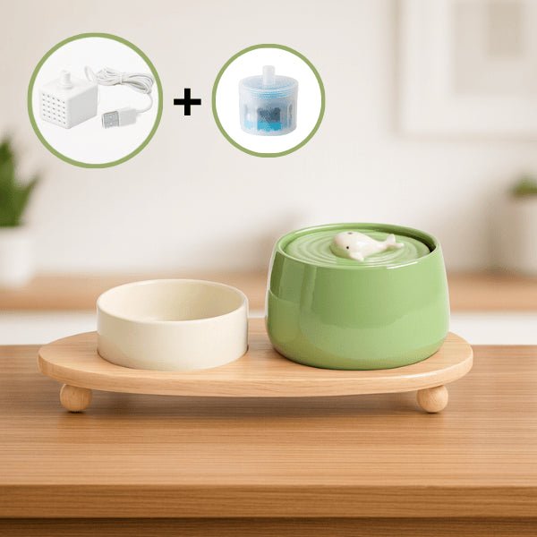 Fontaine à eau chat ceramique vert olivier gamelle blanc crème support bois filtre pompe USB NaturaFresh™