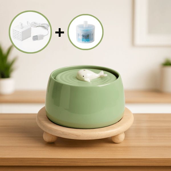 Fontaine à eau chat ceramique vert olivier support bois naturel filtre pompe USB NaturaFresh™