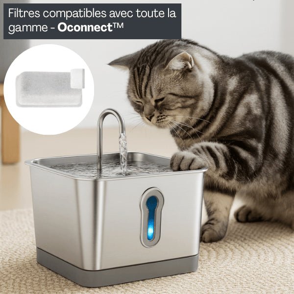 Fontaine à eau chat filtrée avec filtre fontaine pour chat compatible meilleure hydratation Oconnect™