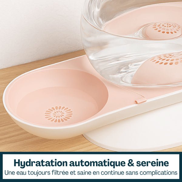 Fontaine à eau chat sans électricité continue meilleure hydratation sereine filtrée CosmO™