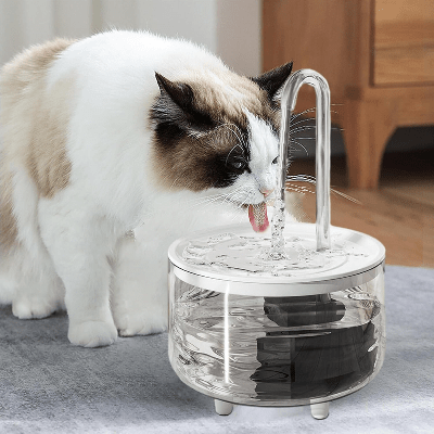Fontaine à Eau Pour Chat avec félin qui boit au tube transparent CatDrinker™ - Amour de Chat