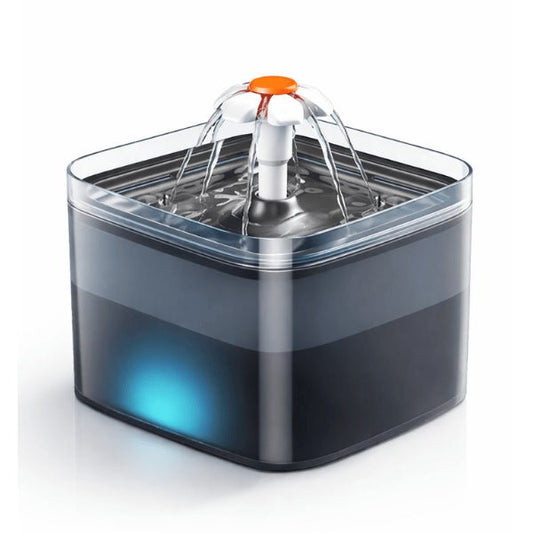 Fontaine à eau pour chat filtration continue eau fraîche bien-être optimal félin