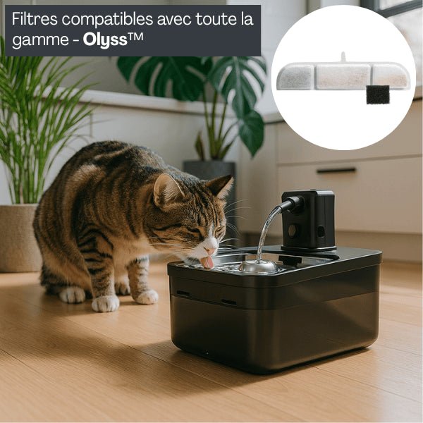 Fontaine a eau pour chat filtrée avec filtre fontaine eau chats compatible Olyss™ sans fil
