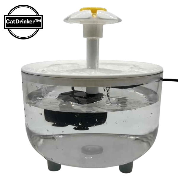Fontaine à eau pour chat fleuron blanc transparente vue profil CatDrinker™