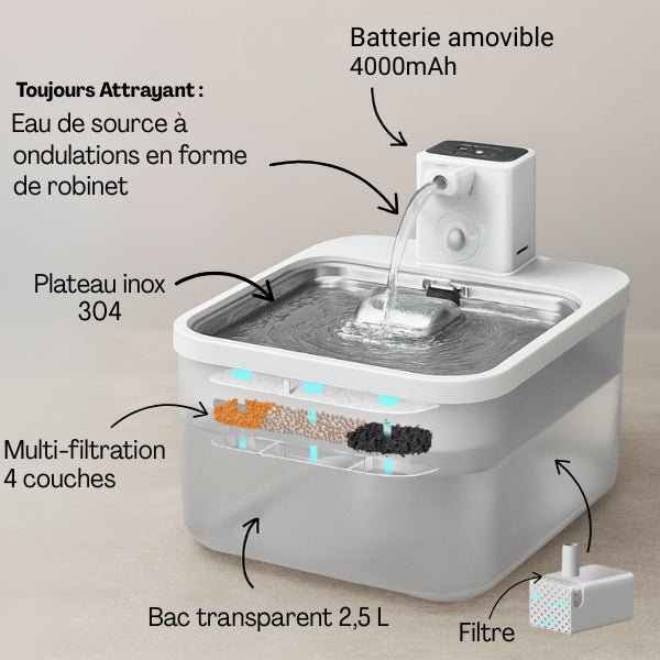 Fontaine a eau pour chat sans fil multi filtration bac inox transparent capacité 2.5 L