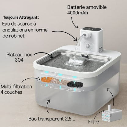 Fontaine a eau pour chat sans fil multi filtration bac inox transparent capacité 2.5 L
