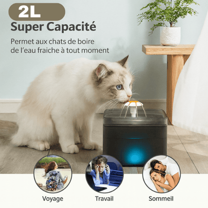 Fontaine à eau pour chat capacité idéale 2 L hydratation autonome pour absences PearlFlow™