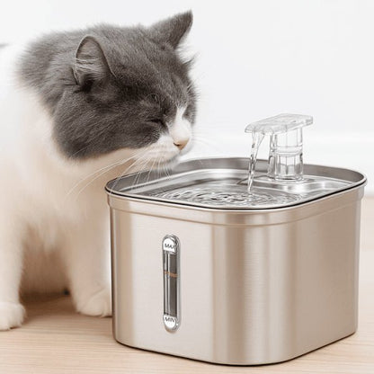 Fontaine chat confort inox meilleure hydratation naturelle félin boit robinet Vortex™