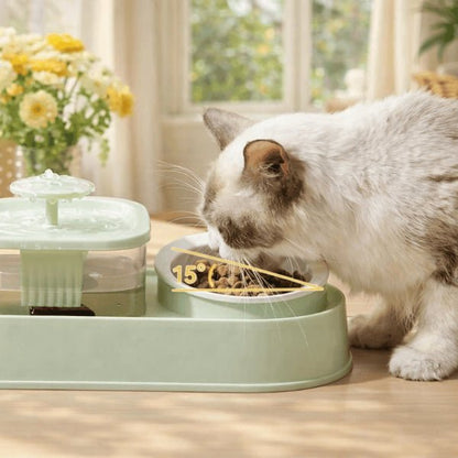 Chat mangeant dans une gamelle inclinée à 15 degrés intégrée à la fontaine à eau chat DuoFlow™