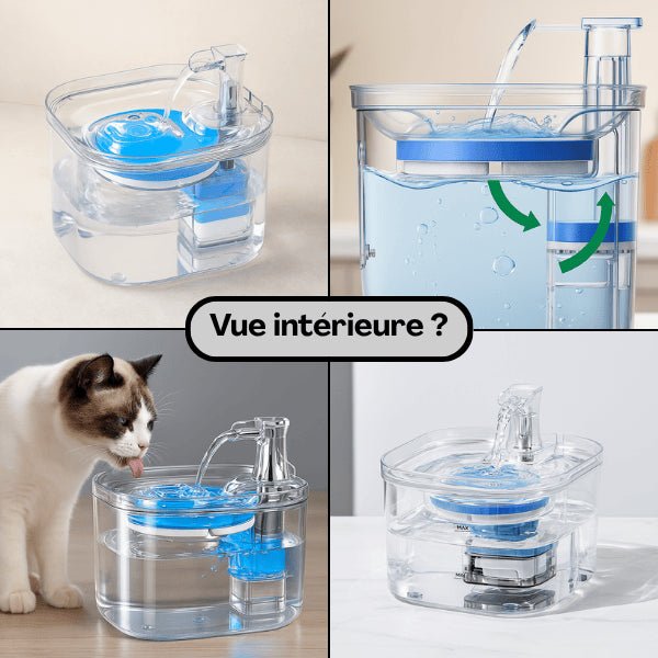Fontaine chat inox vue intérieure transparente visuel circulation eau filtrée saine Vortex™