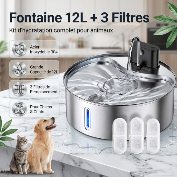Fontaine eau chat inox 304 grande capacité avec trois filtres inclus
