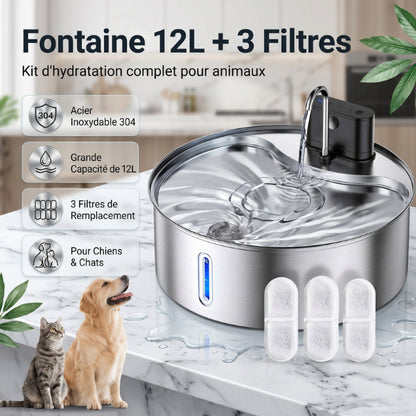 Fontaine eau chat inox 304 grande capacité avec trois filtres inclus