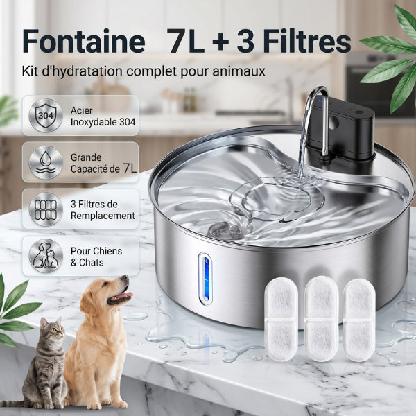 Fontaine eau chat grande capacité en inox avec trois filtres inclus