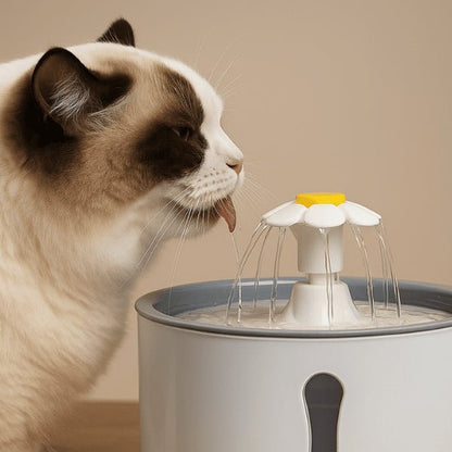 Fontaine eau chat automatique cascade fleuron bleu ronde design félin boit Hydroflor™