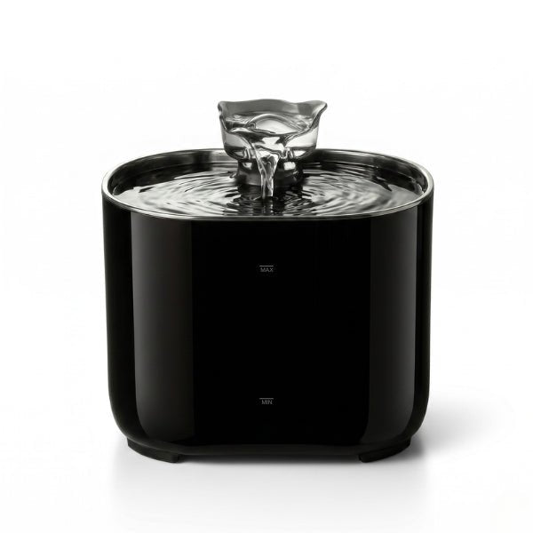 Fontaine eau chat automatique hydratation continue pour encourager chat qui boit peu