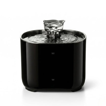 Fontaine eau chat automatique hydratation continue pour encourager chat qui boit peu